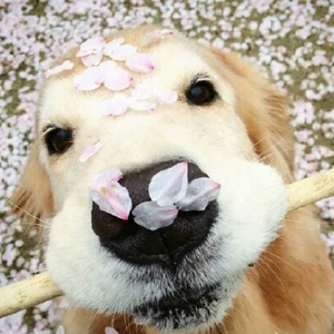 爆乳美女午夜福利视频
